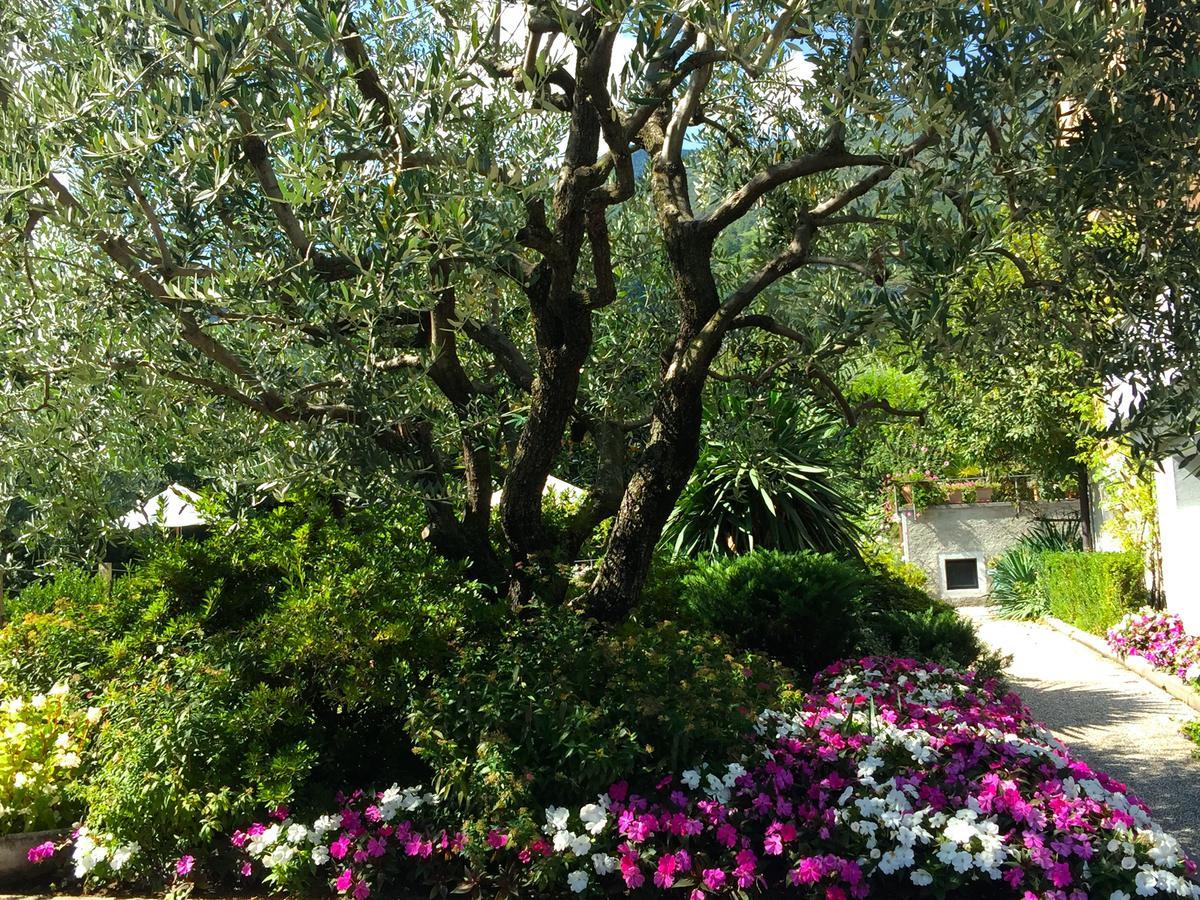 Apartmán Iris 1 Lago Di Como Dongo Exteriér fotografie